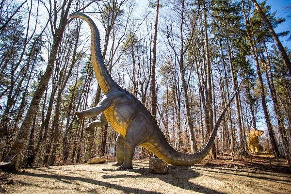 罗马尼亚迪诺公园展出东南欧最高的恐龙
