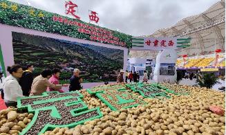 甘肃马铃薯入选全国乡村产业高质量发展十大典型