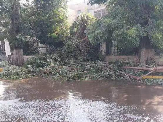 埃及阿斯旺极端天气致3人死亡