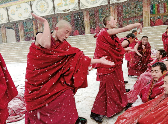 西藏活佛：藏传佛教是中华文化的有机构成要素