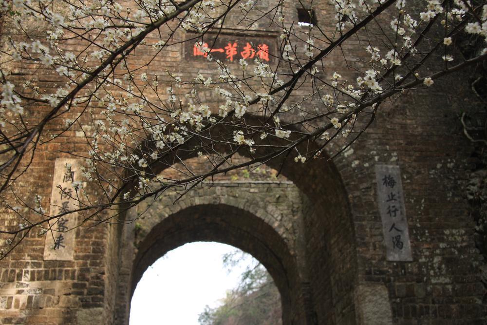 【大美广东】Shaoguan turns festive in early spring  阳春三月不到韶关，怎知岭南春色如许？