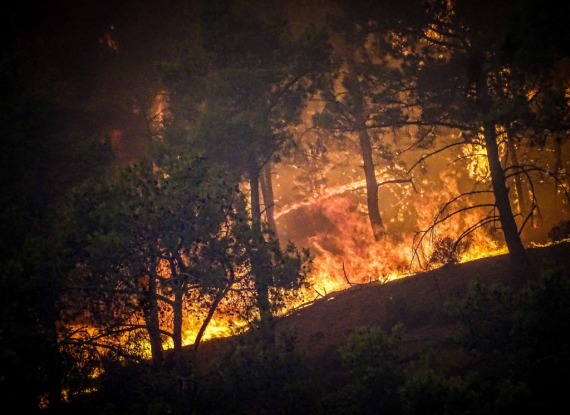 希腊多地野火蔓延　大量人员疏散