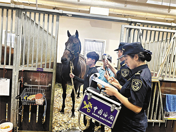 大灣區快線｜賽馬粵港「自由行」　馬產業「加速跑」