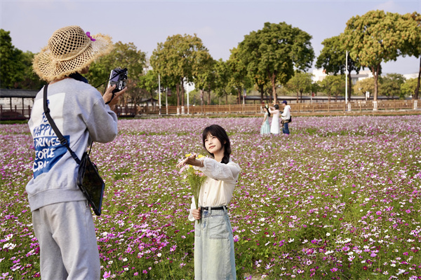 【大美广东】Embrace the Romance of Spring Blooms in Dongguan!  来东莞邂逅繁花里的浪漫春光！