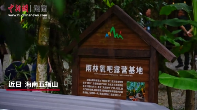 何以中国·行走海南｜畅游“仙境” 雨林探秘