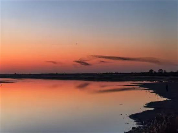 Yellow River Delta Nature Reserve Becomes a Global Hotspot for Migratory Bird Conservation 