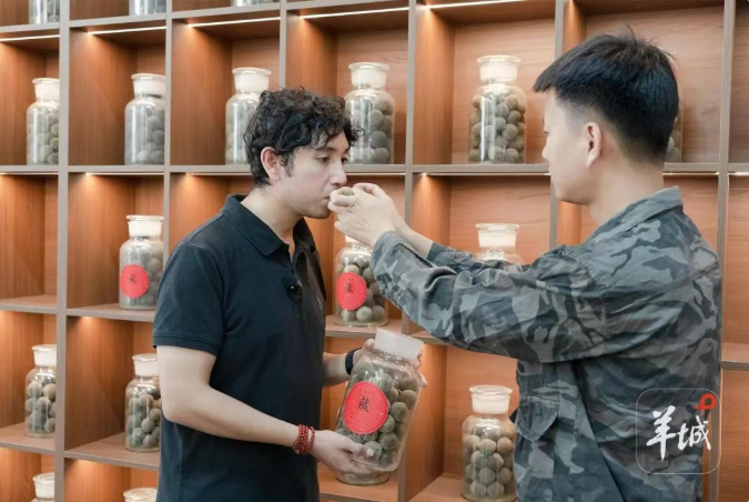 华春莹同款背后，藏着“一棵树”的故事