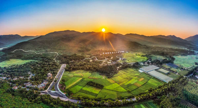 中外记者探访三亚大茅村：在田园绿野中读懂中国乡村巨变