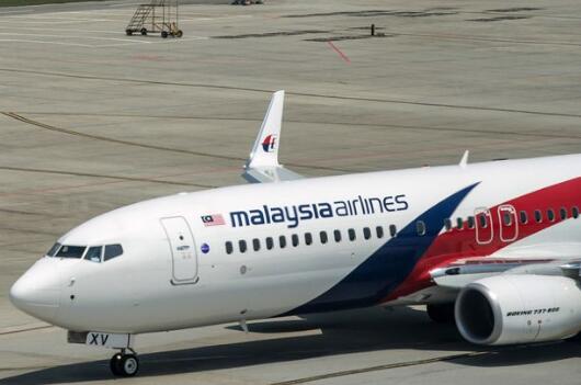 英专家称发现MH370:在柬埔寨密林 机身似有缺口