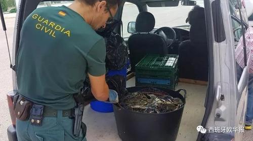 西班牙发生多起华人涉非法捕捞贩卖蓝蟹被起诉案件