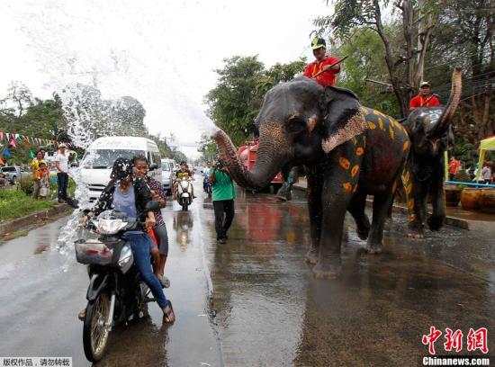 英国钢琴家走进泰国丛林 为受虐待大象演奏乐曲