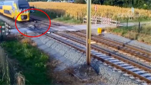 荷兰：惊险！男子与火车“擦肩而过”
