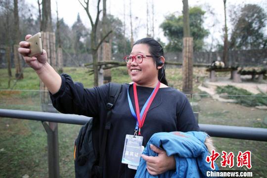 海外华文媒体代表都江堰“邂逅”大熊猫
