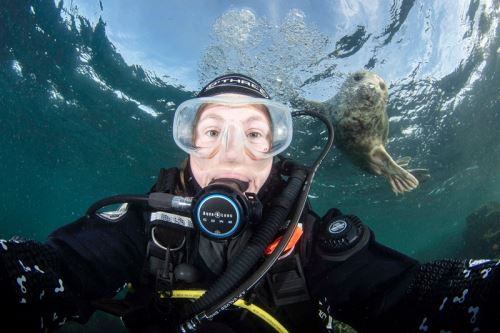摄影师耗时六年拍奇特海洋动物 展示奇妙水下世界