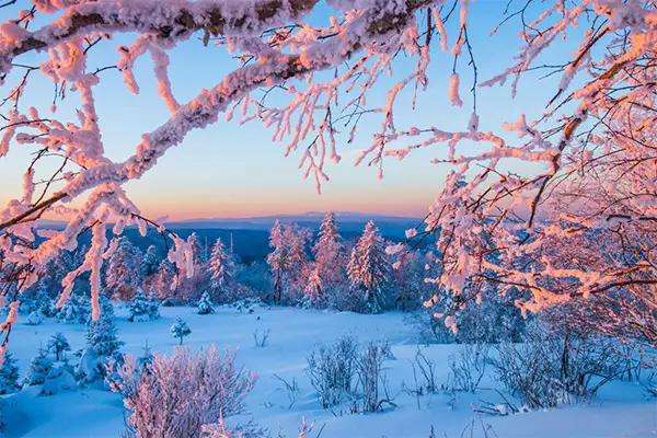 长白山景区“网红粉雪”面向全球免费畅游