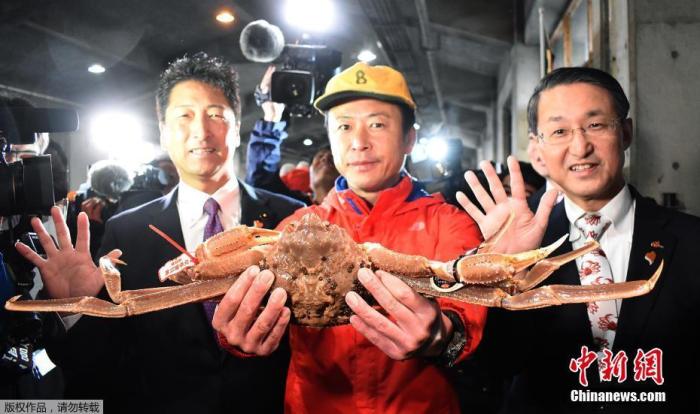 一只蟹500万日元！日本拍出天价螃蟹，破世界纪录