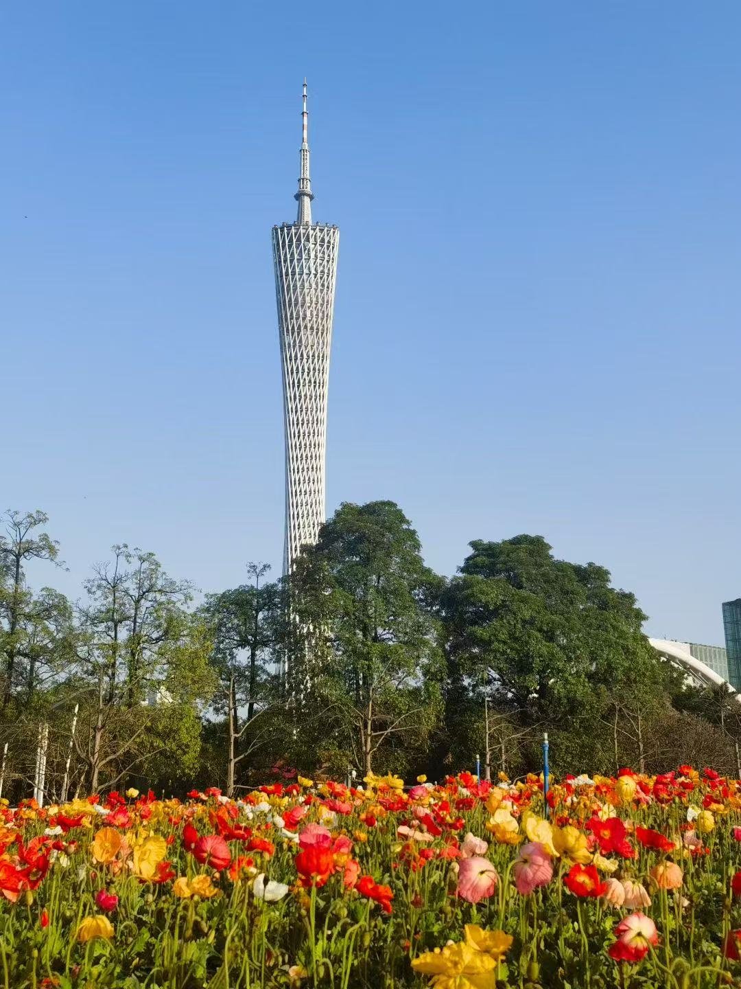 莱茵河畔夏末